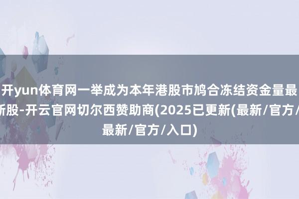 开yun体育网一举成为本年港股市鸠合冻结资金量最大的新股-开云官网切尔西赞助商(2025已更新(最新/官方/入口)