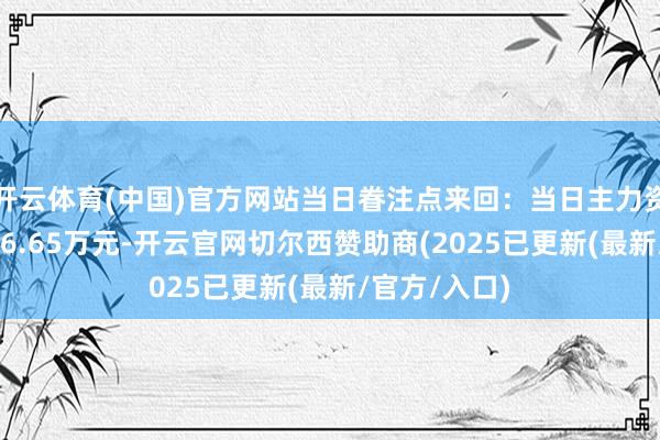 开云体育(中国)官方网站当日眷注点来回：当日主力资金净流出196.65万元-开云官网切尔西赞助商(2025已更新(最新/官方/入口)