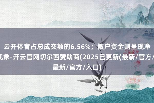 云开体育占总成交额的6.56%；散户资金则呈现净流入现象-开云官网切尔西赞助商(2025已更新(最新/官方/入口)
