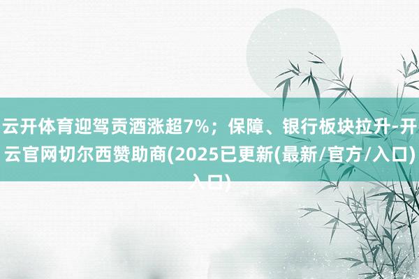 云开体育迎驾贡酒涨超7%；保障、银行板块拉升-开云官网切尔西赞助商(2025已更新(最新/官方/入口)