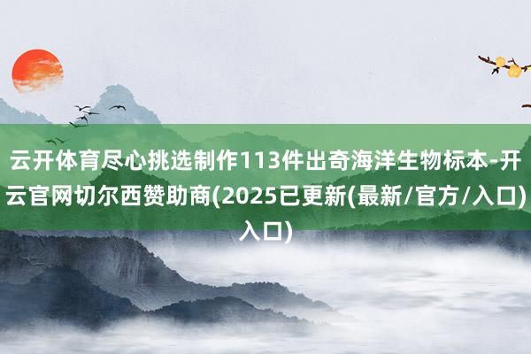 云开体育尽心挑选制作113件出奇海洋生物标本-开云官网切尔西赞助商(2025已更新(最新/官方/入口)