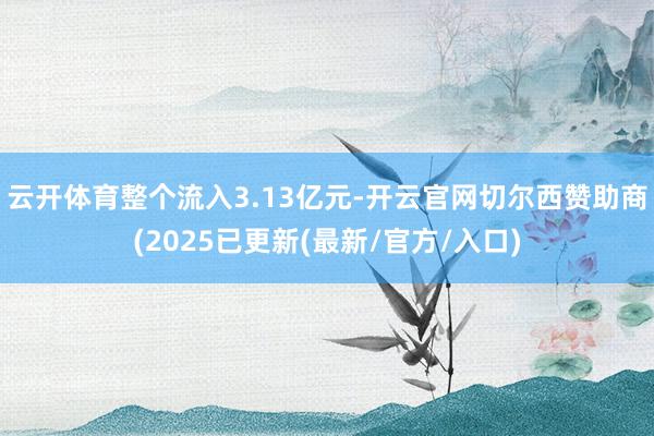 云开体育整个流入3.13亿元-开云官网切尔西赞助商(2025已更新(最新/官方/入口)